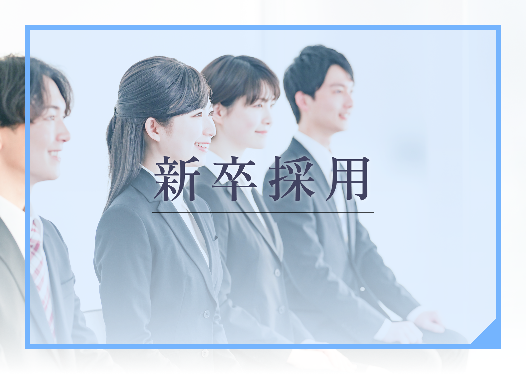 新卒採用