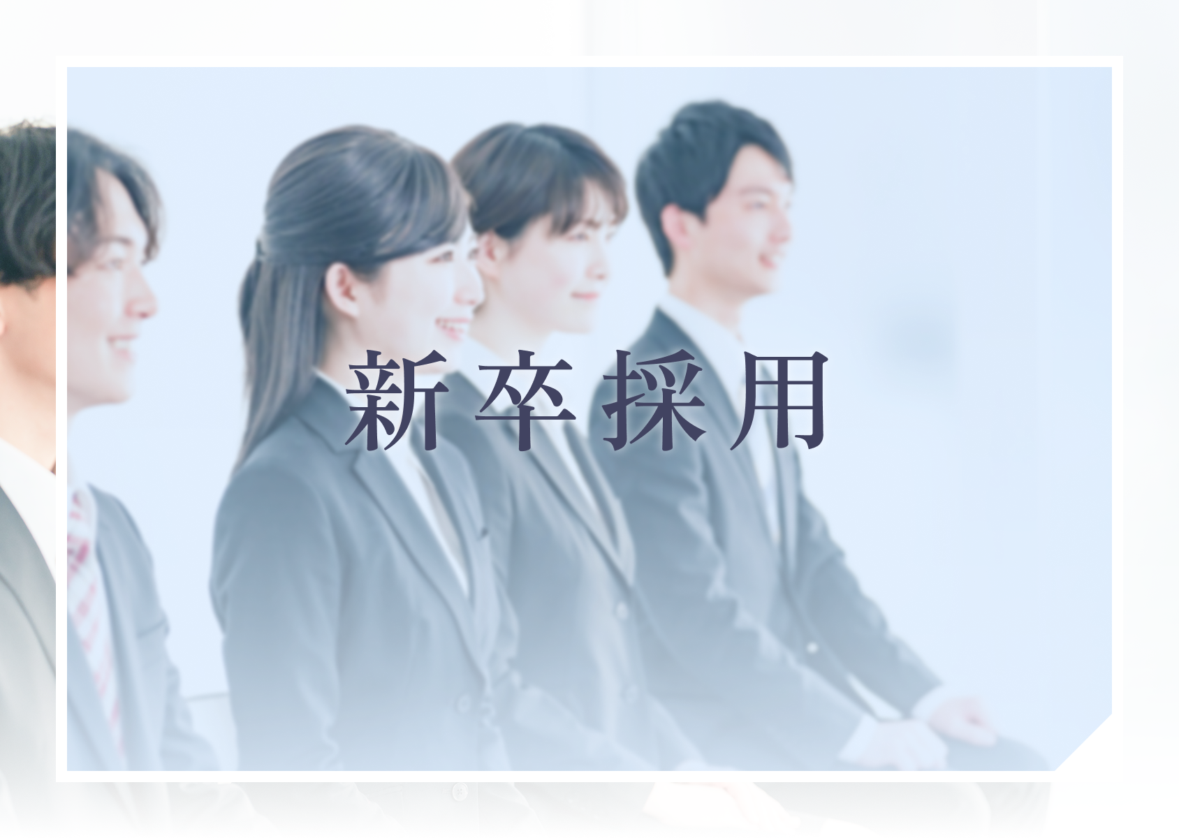 新卒採用